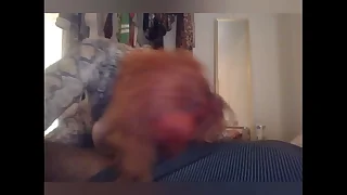 Wireless goes crazy over BBC